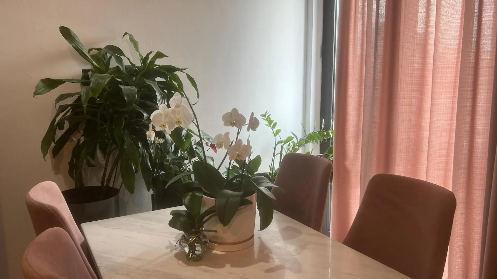 Tirana Lux Apartments 0*,